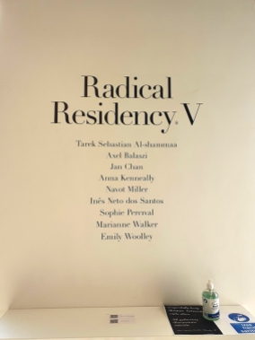 2009 Radical Residency V 3
