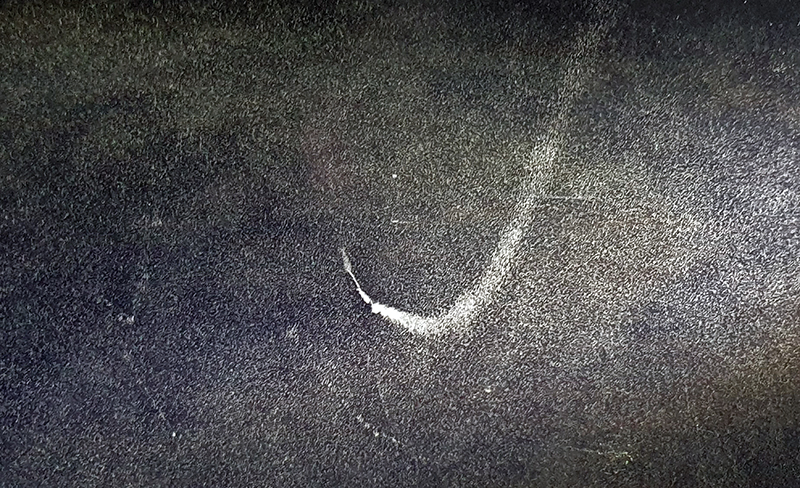 2010 particle trail